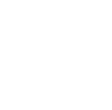 ZARA White