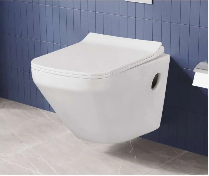 ZARA White Casa 203 wall hung closet in a bathroom setting