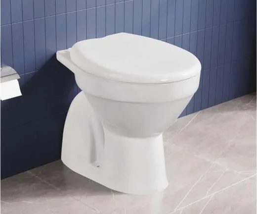 ZARA White Iris (Concealed EWC) 6004 water closet