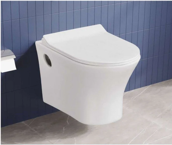 ZARA White Tulip 202 wall hung closet in a bathroom setting